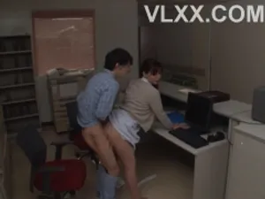 Mèo con đang chờ chủ